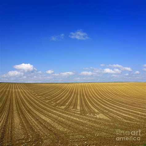 Agricultural Landscape Photograph By Bernard Jaubert