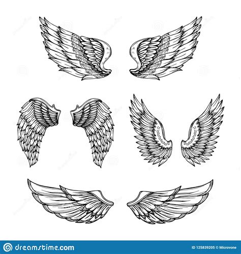 Hand Drawn Wing Sketch Angel Wings With Feathers Vector