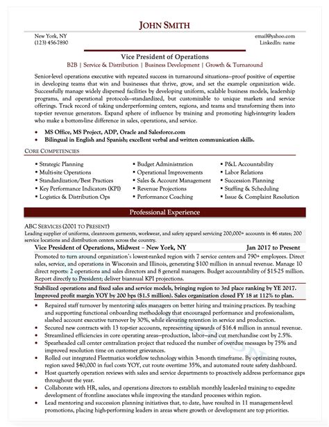 40 Executive Resume Samples Director Vp And C Level