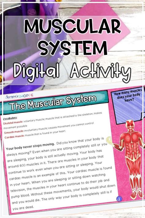 Muscular System Human Body Digital Reading Activity To Learn About