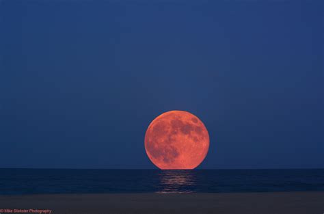 August Sturgeon Super Moon Rising From The Horizon In The Atlantic
