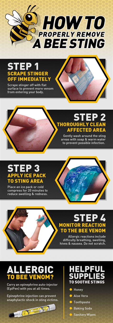Home Remedies For Bee Stings Hrf