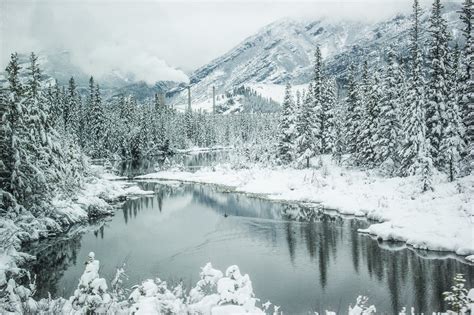 Winter Somewhere In The Snowy Wilderness Of Alberta Canada 2048×