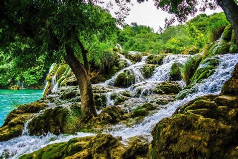 Waterfall Trees Water Landscape Nature Wallpapers Hd Desktop And