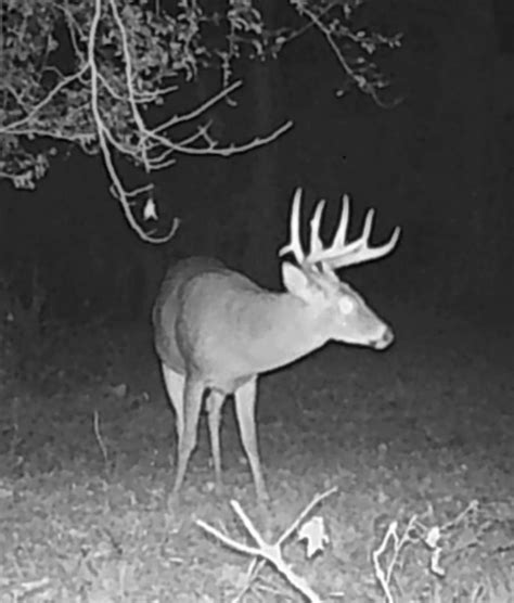 Magnolia, Amite County, MS Recreational Property, Timberland Property