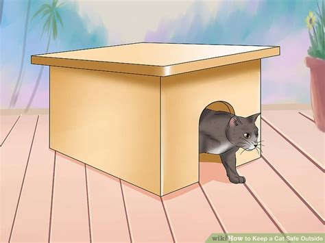How To Keep A Cat Safe Outside With Pictures Wikihow