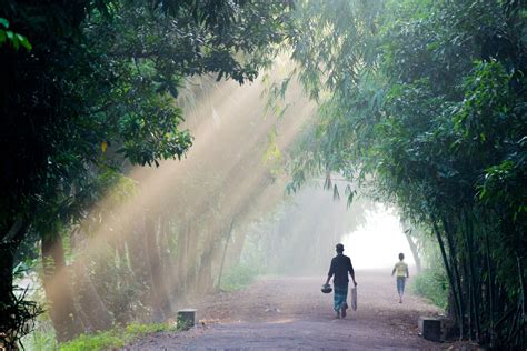 Free Stock Photo Of Bangladesh Early Morning Fog