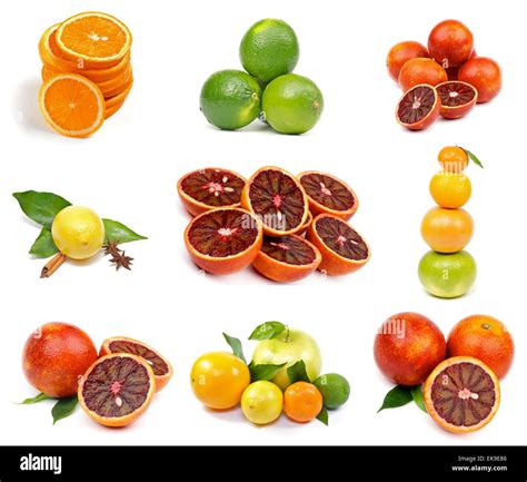 Collection Of Citrus Hi Res Stock Photography And Images Alamy