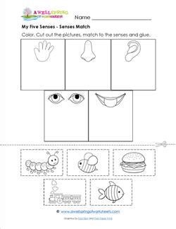 My Five Senses Matching Worksheet - Kindergarten Science