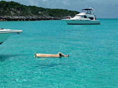 Exumas Travelogue A Week On Great Exuma Bahamas Things To Do In