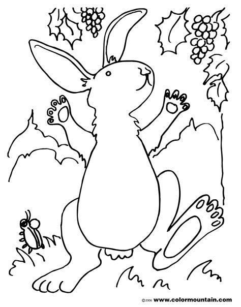 Brer rabbit coloring pages free parent post : Rabbit Coloring Picture - Create A Printout Or Activity