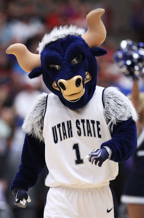 College Football The 18 Most Frequently Used Mascot Names In Ncaa Utah State Aggies College