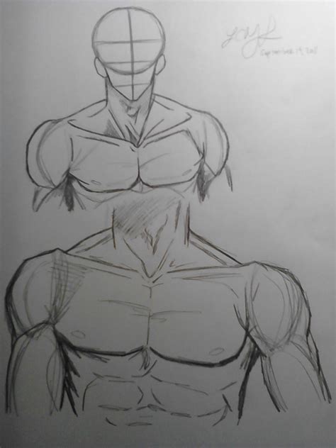 You can find convenient products like the kyoto kagaku human torso anatomy model, with. Upper Body Male Anatomy 2 by LCMorganTDA on DeviantArt
