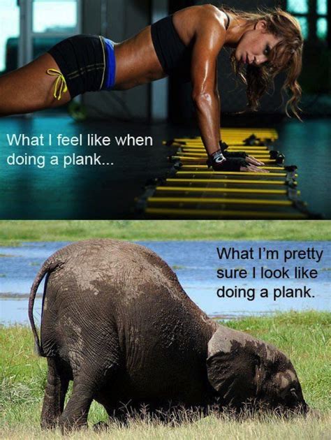 Farm Scribe Erika On Twitter Workout Humor Gym Memes Funny