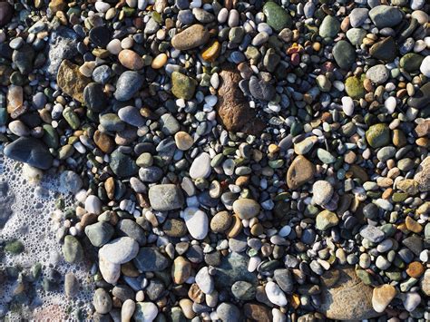 Assorted Pebble Lot Sea Stones Shore Wet Hd Wallpaper Wallpaper Flare