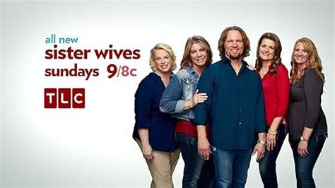 Sister Wives Tv Series 2010 Imdb