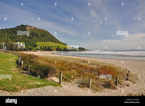 Beach Promenade Mount Maunganui Tauranga Bay Of Plenty Region North Island New Zealand