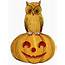 Vintage Halloween Clip Art  Cute Owl On Pumpkin The Graphics Fairy