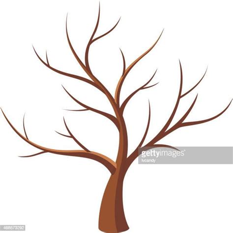The tree flourishes and spreads oh, this bare tree is looking so dull and gloomy. Bare Tree High Res Illustrations - Getty Images