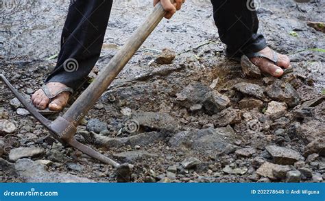 A Person Digging A Rock Using A Simple Tool Stock Photo Image Of