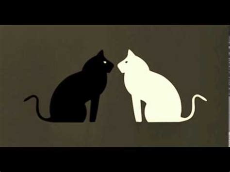 Black cat, white cat (soundtrack) el bubamara pasa. Emir Kusturica & The No Smoking Orchestra - Bubamara ...