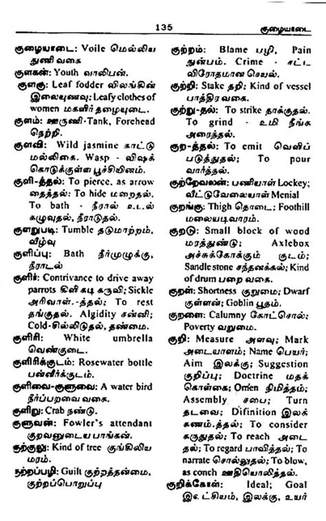 Tamil English Tamil Dictionary Exotic India Art