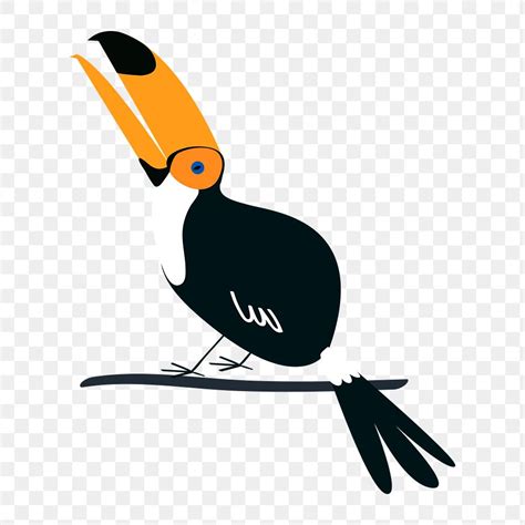 Toucan Bird Png Sticker Aesthetic Premium Png Illustration Rawpixel