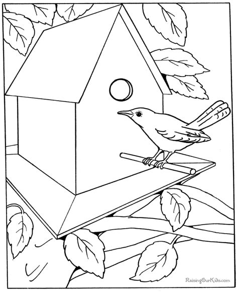 Free Coloring Pages For Adults Bird Free