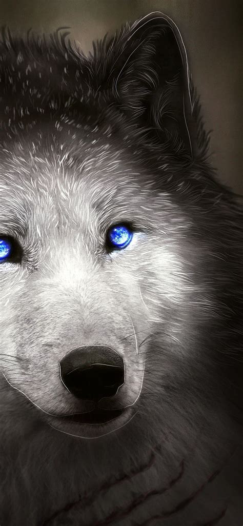 Wolf Smartphone Eye Wallpapers Wallpaper Cave