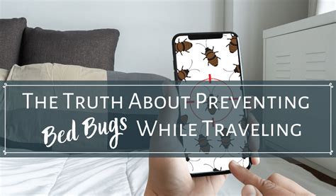 How To Protect Yourself From Bed Bugs While Traveling Hanaposy
