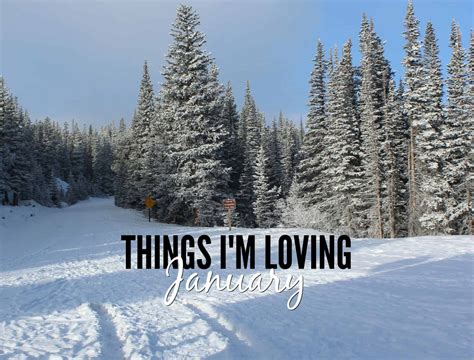 Things Im Loving January 2016 Tara Rochford Nutrition