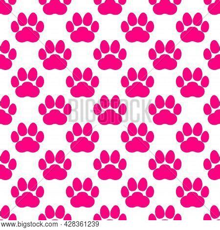 Pink Paw Print Vector Photo Free Trial Bigstock