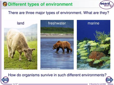 Ppt Different Types Of Environment Powerpoint Presentation Free