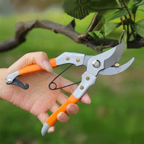 Grafting different fruit trees step by step welcome to #graftinglesson channel. High quality fruit tree branch pruning shears scissor ...