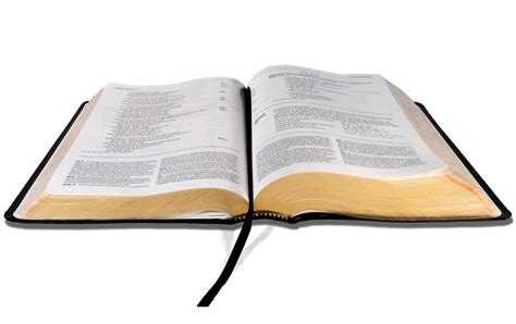 Open Bible Png Image Png All