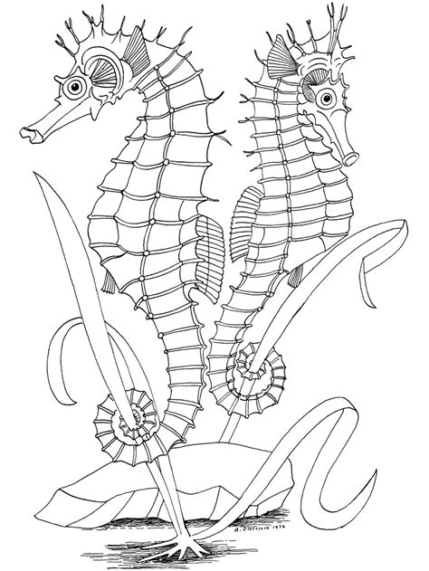 Ocean Scene Coloring Page Coloring Home