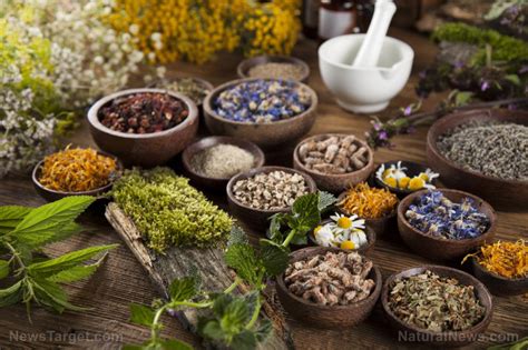 More People Are Turning To Herbal Treatments As Dissatisfaction With