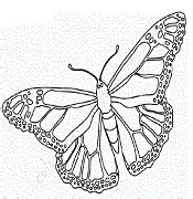 Butterfly Coloring Pages