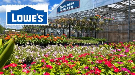 Lowes Garden Center Summer Plant Inventory August 2022 Youtube