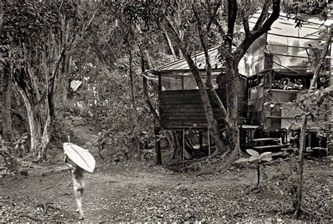 Extraordinary Vintage Photos Reveal Hawaii S Hippie Treehouse Community Kauai Tree House