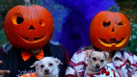 Things To Do On Halloween Pumpkin Challenge Tik Tok Photoshoot Youtube