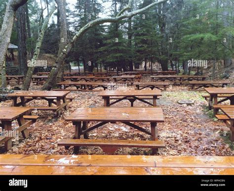 Empty Picnic Tables Hi Res Stock Photography And Images Alamy