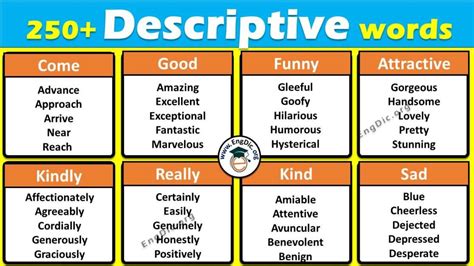 250 Descriptive Words Examples List With Meaning And Synonyms Engdic