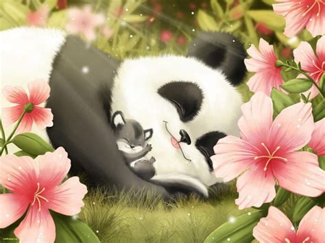 Fondo De Pantalla De Panda Bonito Y Elegante Hd De Animales Pandas