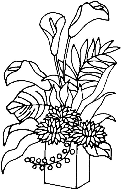 Dibujos Para Imprimir Y Colorear Plantas Para Colorear