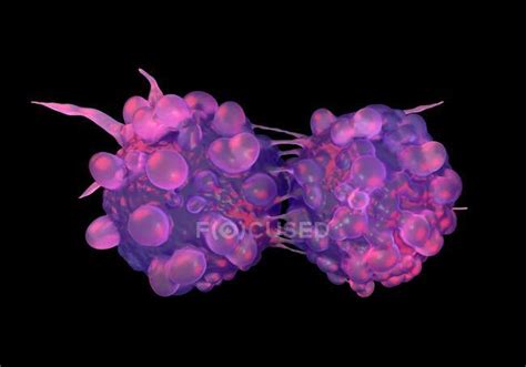 Cancer Cell Morphology — Cells Generated Stock Photo 167534288