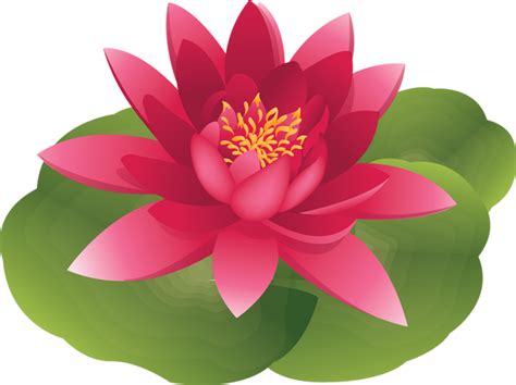 Water Lily Water Clipart 20 Free Cliparts Download Images On