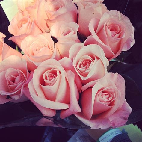 You'll also be able to find wedding flower photos which you can use as inspiration for your own wedding day or for promoting your flowers during wedding season. Adela & Tessie: Give me flowers!