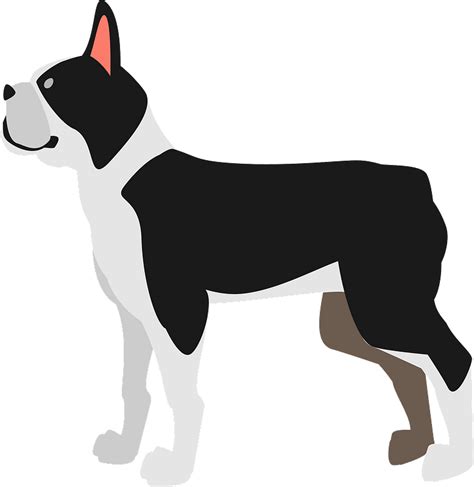 Boston Terrier Dog Clipart Free Download Transparent Png Creazilla