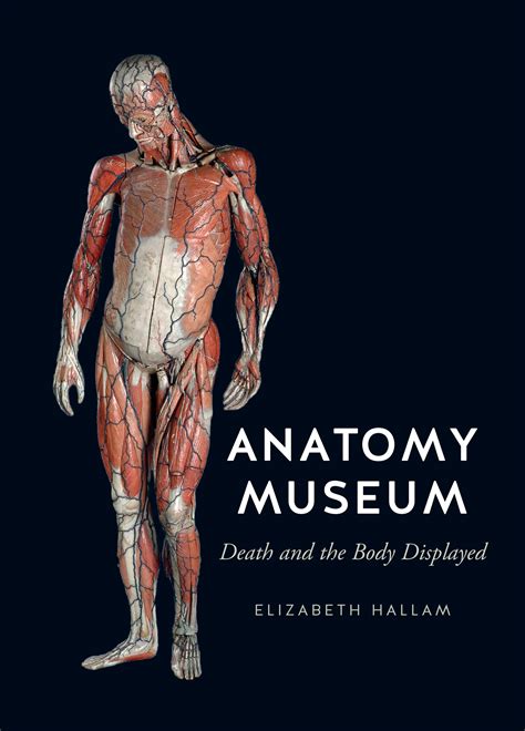 I used reference from anatomy book. Anatomy Museum | NewSouth Books